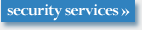 security services